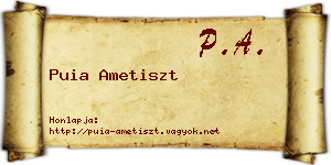 Puia Ametiszt névjegykártya